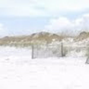 Meet your Posher, Marsha